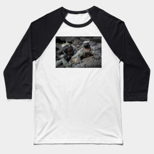 Marine Iguana, Isla Fernandina, Galapagos Islands Baseball T-Shirt